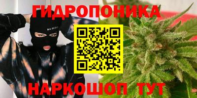 сатива Гагарин