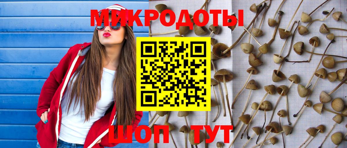 Псилоцибиновые грибы Psilocybine cubensis Калач-на-Дону